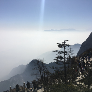 国产高清视频青青青在线
